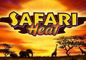 Safari Heat